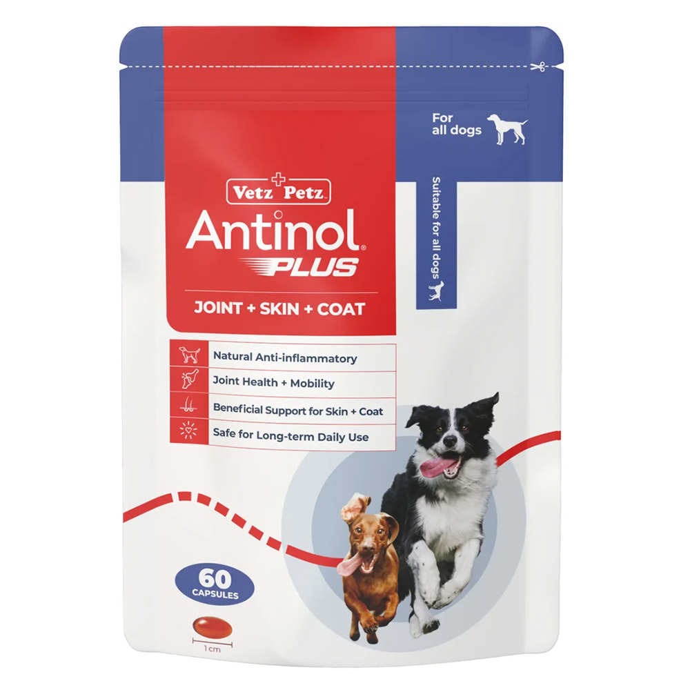 Antinol Plus Capsules For Dogs60 Capsules