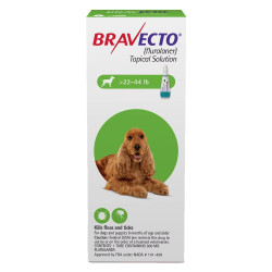 Bravecto Topical For Medium Dogs (22 - 44 Lbs) Green 1 Dose