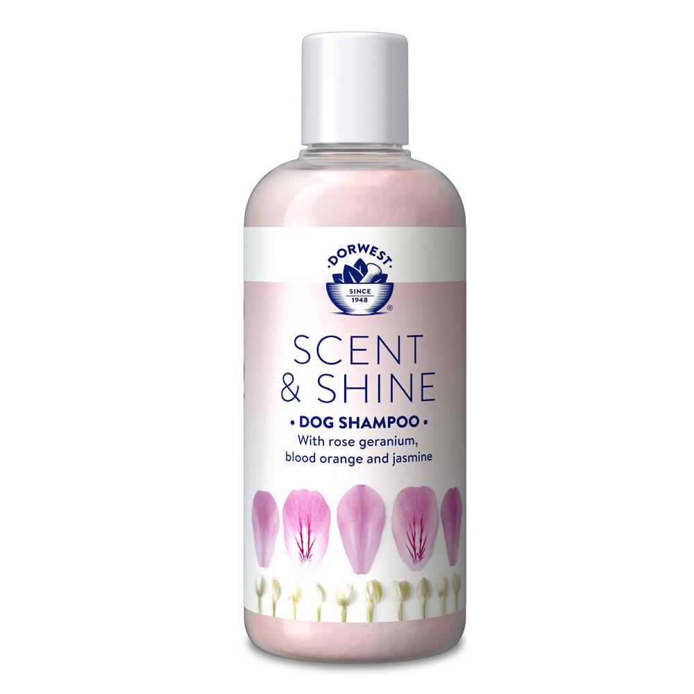 Dorwest Scent & Shine Shampoo250 Ml