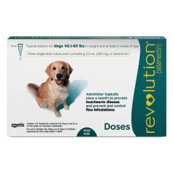 Revolution For Large Dogs 40.1-85lbs (Green) 3 Doses