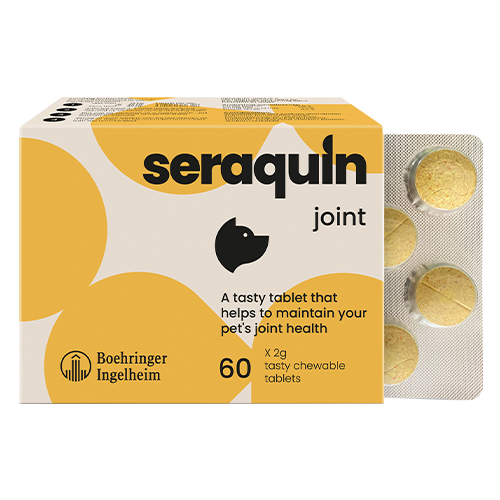 Seraquin For Dogs 2 Gm 60 Tablet