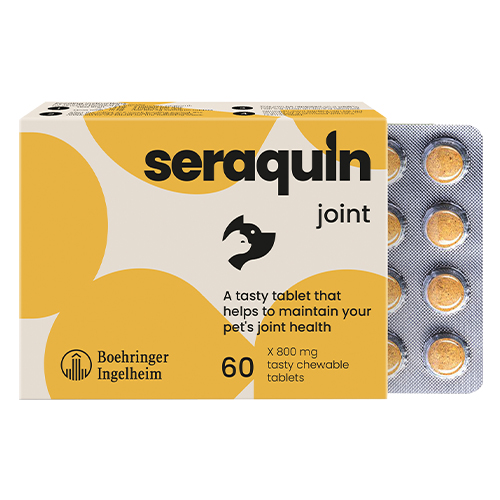 Seraquin For Dogs 800 Mg 60 Tablet