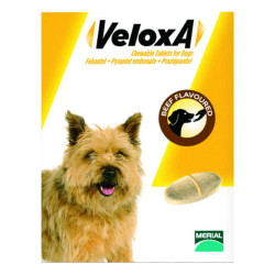 Veloxa Chewable Tablets For Small/Medium Dogs Up To 22lbs (10 Kg) 2 Tablet