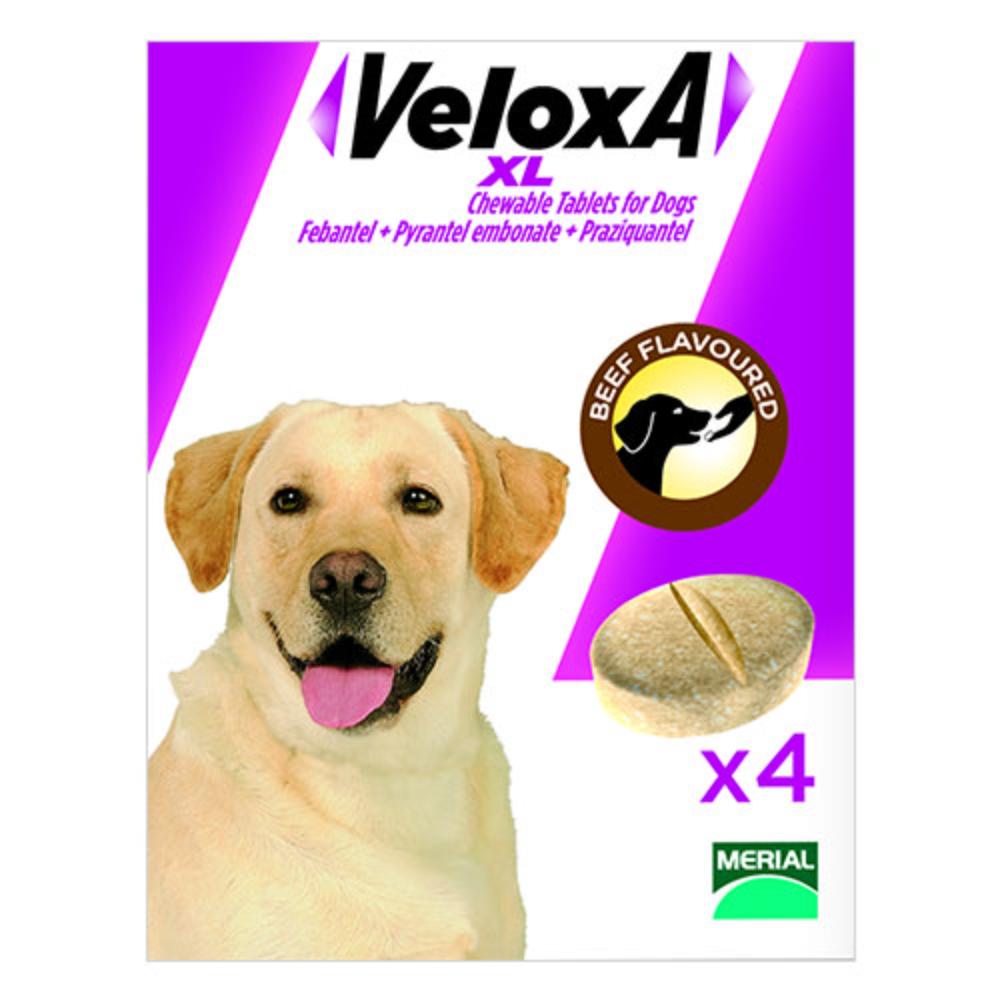 Veloxa Xl Chewable Tablets For Large Dogs Up To 77lbs (35 Kg) 2 Tablet