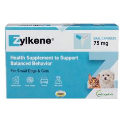 Zylkene Calming Supplement For Cats & Small Dogs 75mg 20 Capsule